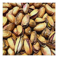 Pistachio Nuts Black Outline Art
