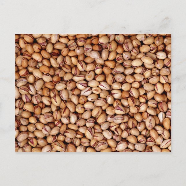 Pistachio Nuts Postcard (Front)