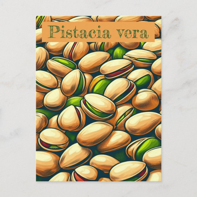 Pistachio pop art postcard (Front)