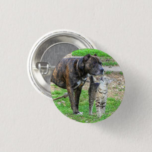Pit Bull and Cat 3 Cm Round Badge