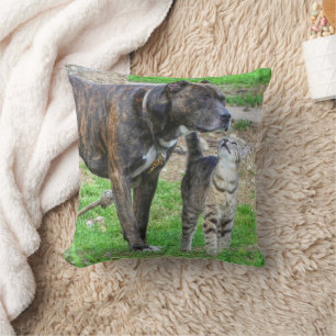 Pit Bull and Cat Cushion