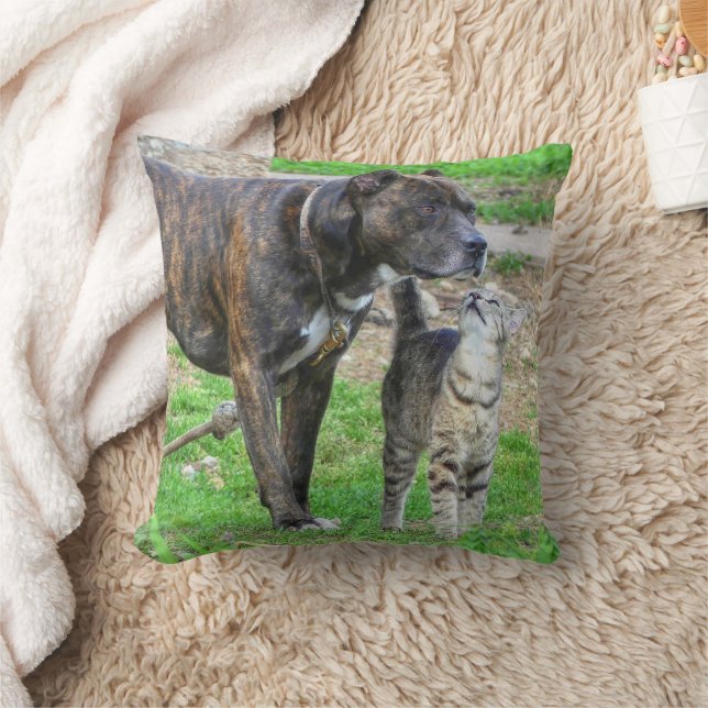 Pit Bull and Cat Cushion (Blanket)