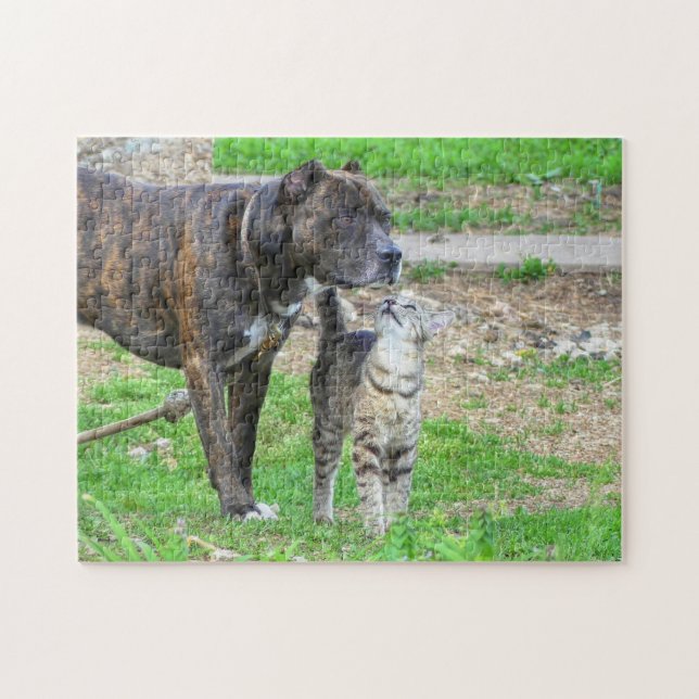 Pit Bull and Cat Jigsaw Puzzle (Horizontal)