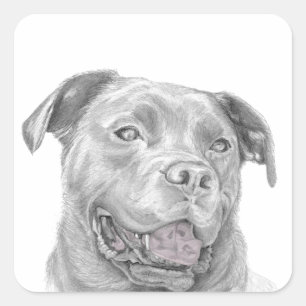Pit Bull Art Drawing Square Sticker