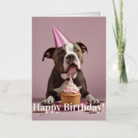 Pit Bull Birthday Celebration