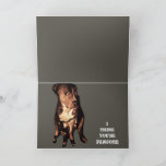 PIT BULL BIRTHDAY GREETING card<br><div class="desc">This beautiful girl pit bulls name is Lucy,  and those eyes say it all!  Makes a great card for your better half</div>