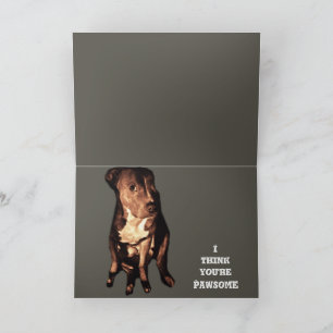 PIT BULL BIRTHDAY GREETING card