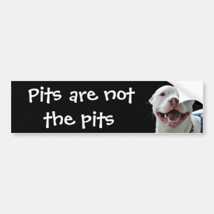 Pit bull bumper sticker