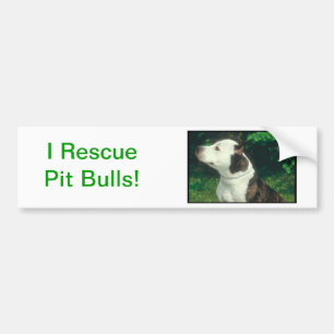 Pit Bull Bumper Sticker