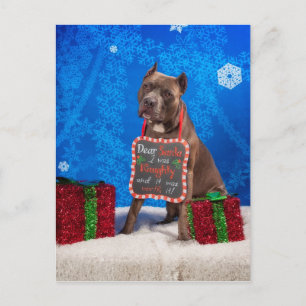 Pit-Bull Christmas Holiday Postcard
