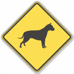 Pit Bull Crossing
