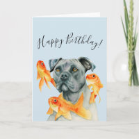 Pit Bull Dog and Goldfishes | Happy Birthday