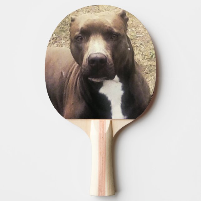 Pit Bull Dog Custom Pet Photo Ping Pong Paddle (Front)