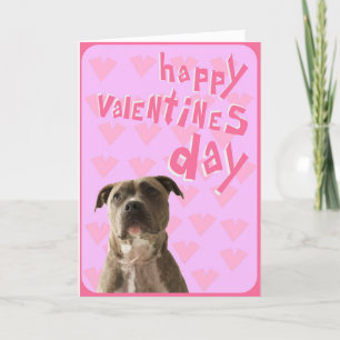 Pit Bull Dog Happy Valentine's Day Greeting Card