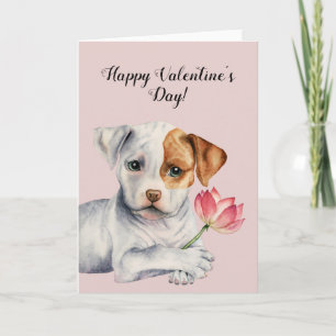 Pit Bull Dog Holding Pink Flower   Valentine's Holiday Card