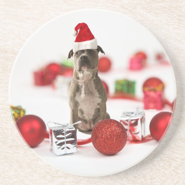 Pit Bull Dog with Gift box and Christmas Ornaments Coaster (Front)