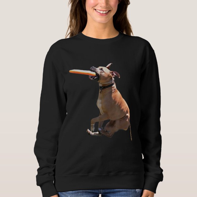Pit Bull Frisbee Graphic Pit Bull Terrier print Do Sweatshirt (Front)