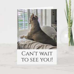 Pit Bull Gonna See you Card
