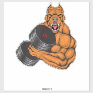 Pit Bull Gym Fitness - Weightlifting Deadlift Body
