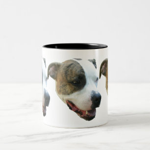 Pit Bull mug