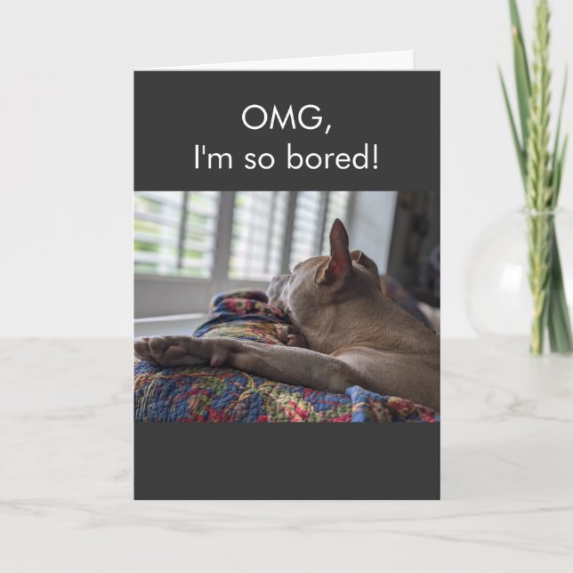 Pit Bull OMG I'm so bored Card (Front)