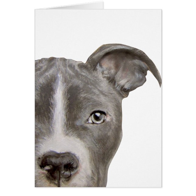 Pit bull Original painting and design by miart (Front)