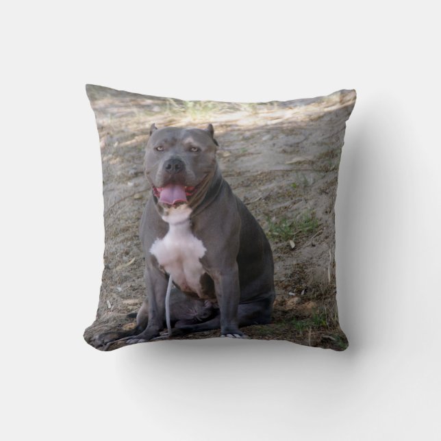 Pit Bull Pillow (Front)