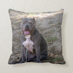 Pit Bull Pillow