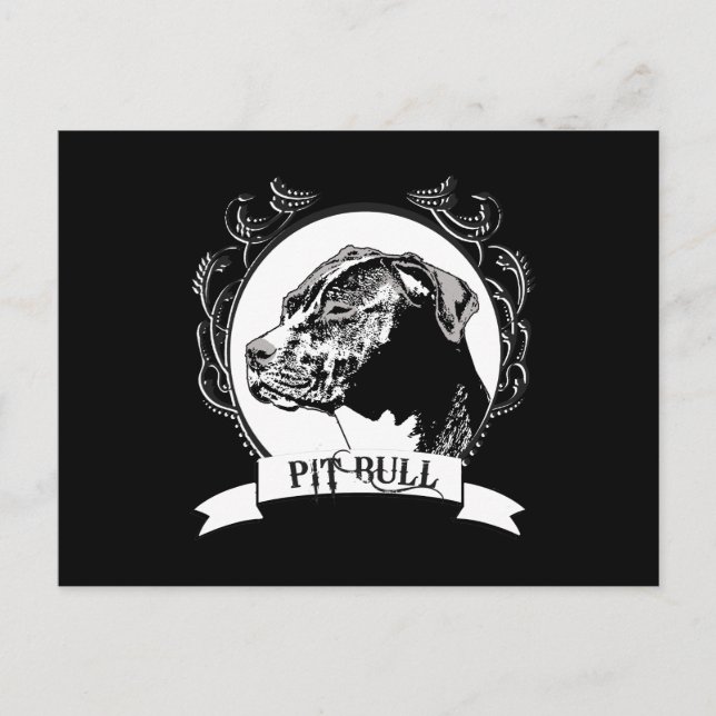 PIT BULL POSTCARD (Front)