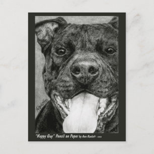 Pit Bull Postcard - "Happy Guy"
