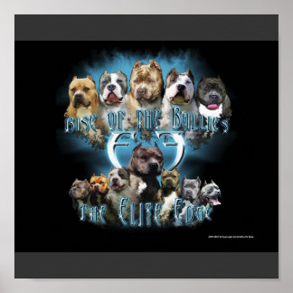 Pit Bull poster