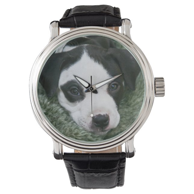 Pit Bull Puppy (Angie) Watch (Front)
