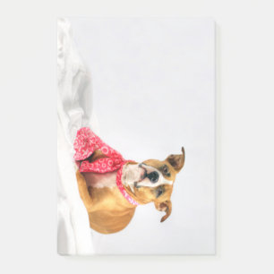 Pit Bull Puppy Love in Pink XOXO Post-it Notes