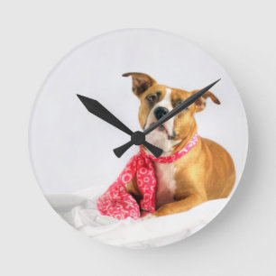Pit Bull Puppy Love in Pink XOXO Round Clock