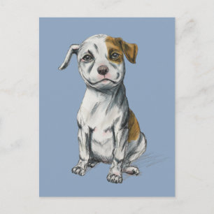 Pit Bull Puppy Sketch Drawing Postcard