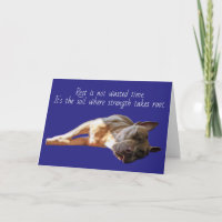 Pit Bull Sleeping