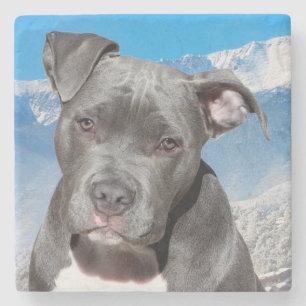 Pit Bull Stone Coaster
