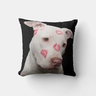 Pit bull sweet kisses cushion