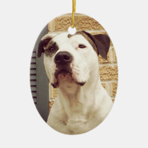 Pit Bull T-Bone Ceramic Tree Decoration