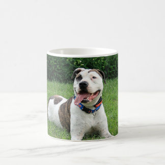Pit Bull T-Bone Coffee Mug