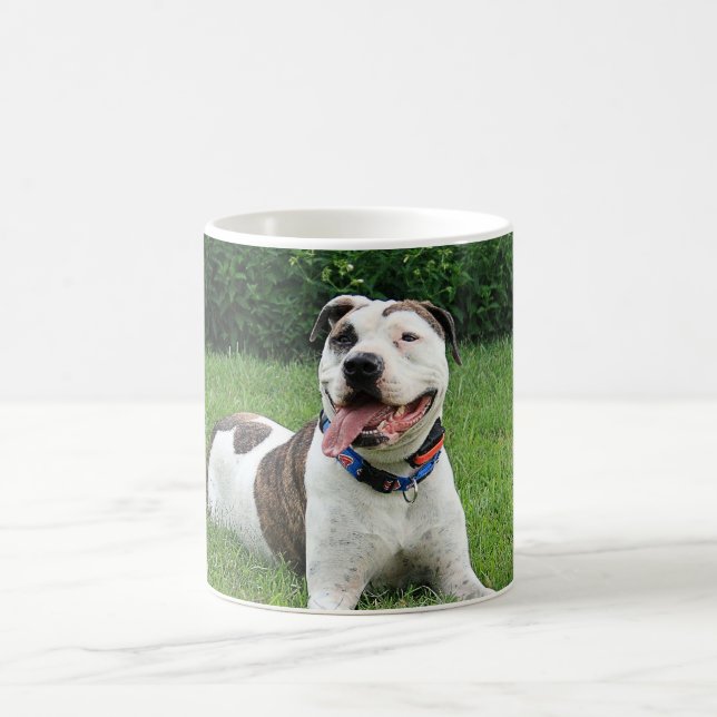 Pit Bull T-Bone Coffee Mug (Center)