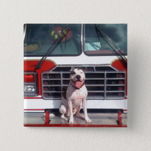 Pit Bull T-Bone Fire House Dog 15 Cm Square Badge