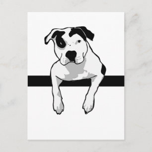 Pit Bull T-Bone Graphic Postcard