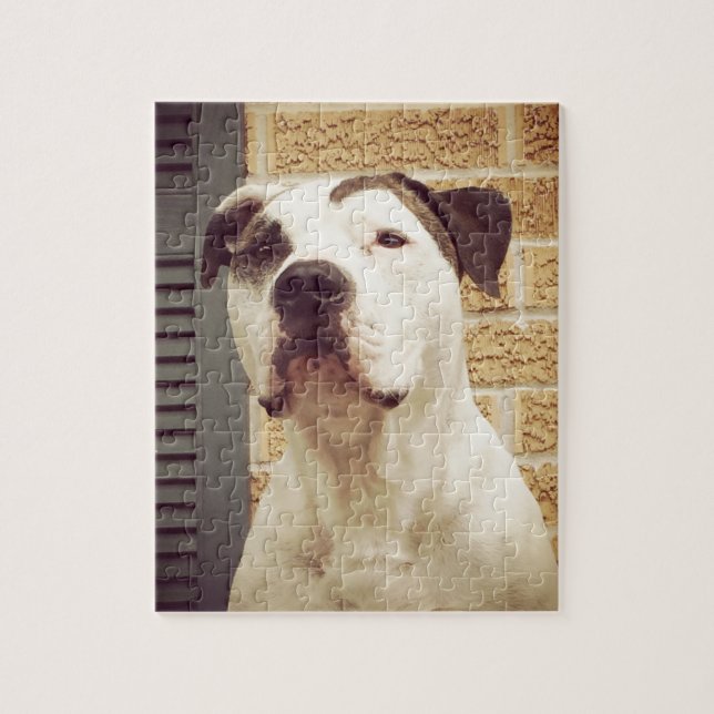 Pit Bull T-Bone Jigsaw Puzzle (Vertical)