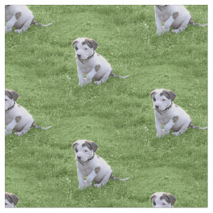 Pit Bull T-Bone Puppy Fabric