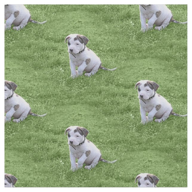 Pit Bull T-Bone Puppy Fabric (Close Up)