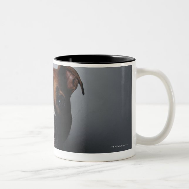 Pit Bull Terrier Lying Down Two-Tone Coffee Mug (Right)