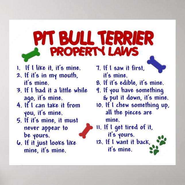 PIT BULL TERRIER PL2 POSTER (Front)
