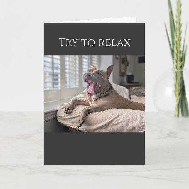 Pit Bull try to relax get well Card (Front)