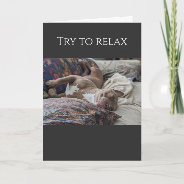 Pit Bull try to relax get well Card (Front)